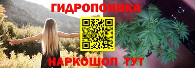 MDMA Краснознаменск